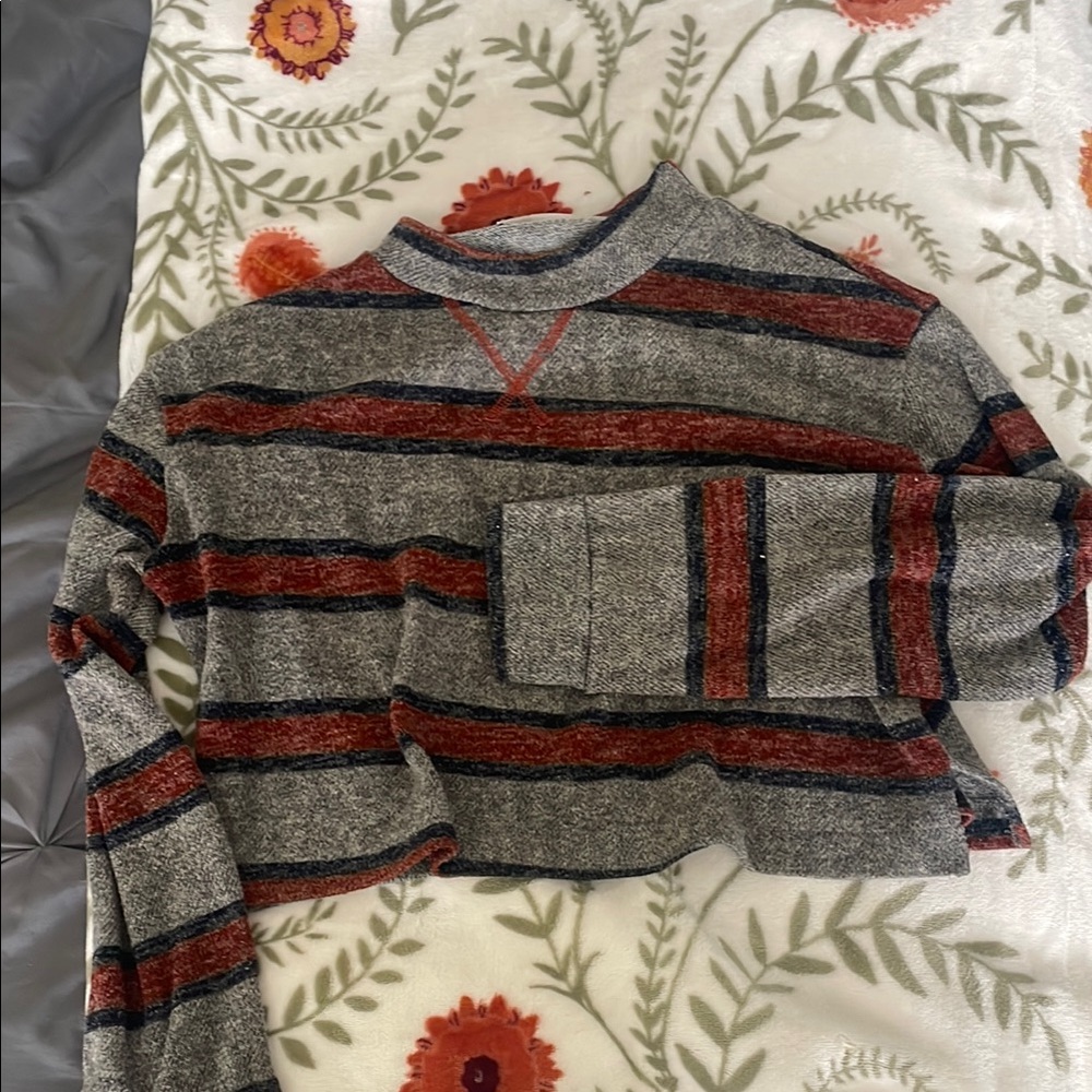 Striped Gray and Red Cropped Sweater